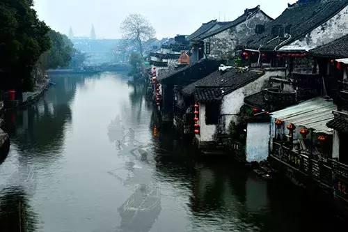 动物帮帮忙保卫家园